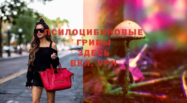 круглые Семёнов