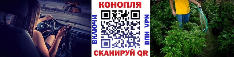 Конопля SATIVA & INDICA  мориарти формула  Сольвычегодск  цены наркотик 